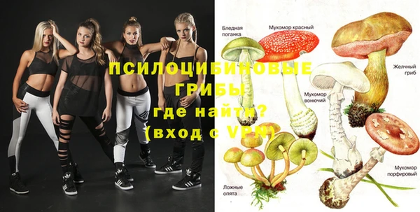 apvp Зерноград