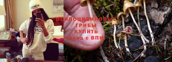 дживик Дмитров