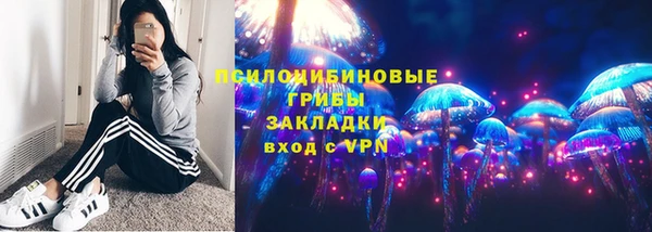 дживик Дмитров