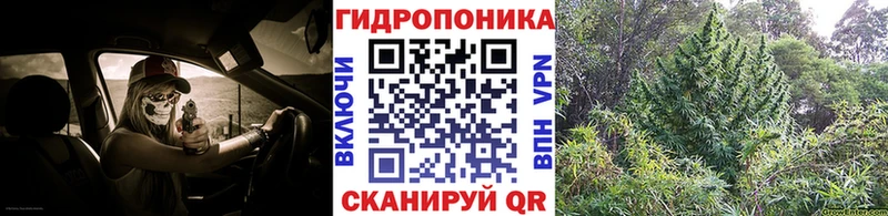 Купить где  Муравленко  Марихуана LSD WEED 
